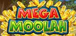 Игра на ротативки Mega Moolah