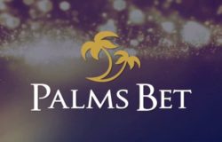 Palms Bet banner - kazinoigri.com